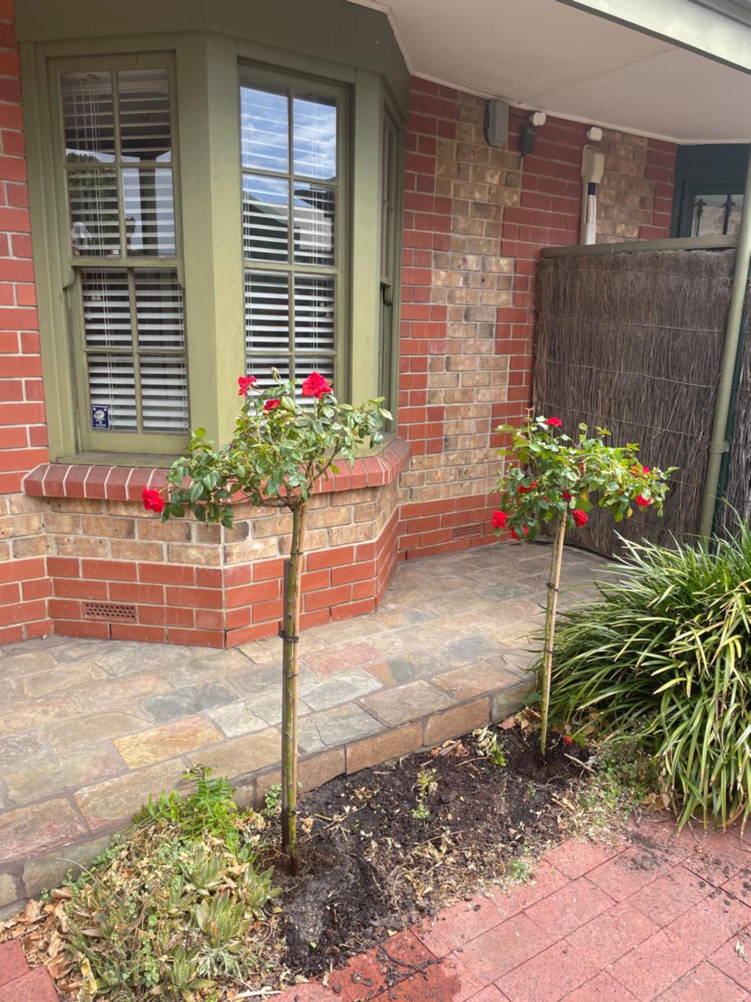 Adelaide Style Accommodation-Getaway in North Adelaide- close to city Esterno foto