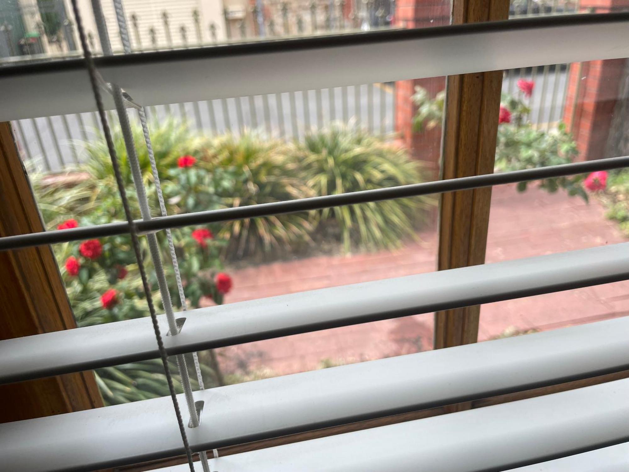 Adelaide Style Accommodation-Getaway in North Adelaide- close to city Esterno foto