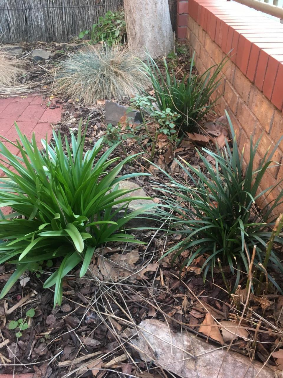 Adelaide Style Accommodation-Getaway in North Adelaide- close to city Esterno foto