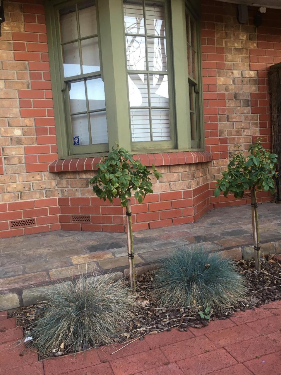 Adelaide Style Accommodation-Getaway in North Adelaide- close to city Esterno foto